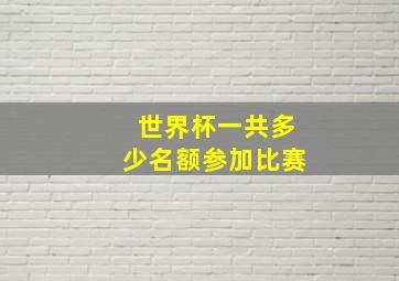 世界杯一共多少名额参加比赛