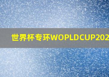 世界杯专环WOPLDCUP2024一99