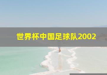 世界杯中国足球队2002