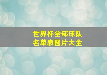 世界杯全部球队名单表图片大全