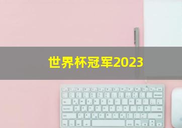 世界杯冠军2023