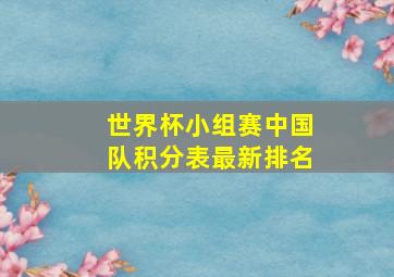 世界杯小组赛中国队积分表最新排名