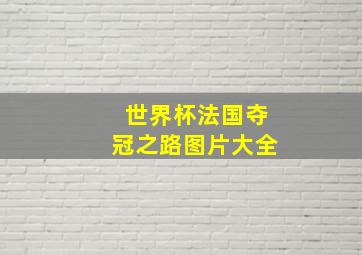 世界杯法国夺冠之路图片大全