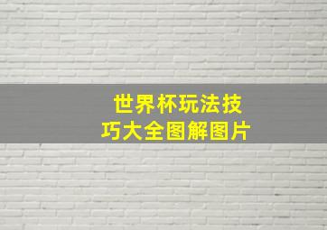 世界杯玩法技巧大全图解图片