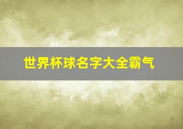 世界杯球名字大全霸气