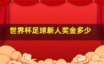 世界杯足球新人奖金多少