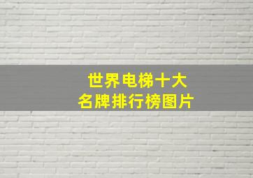 世界电梯十大名牌排行榜图片