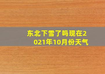 东北下雪了吗现在2021年10月份天气