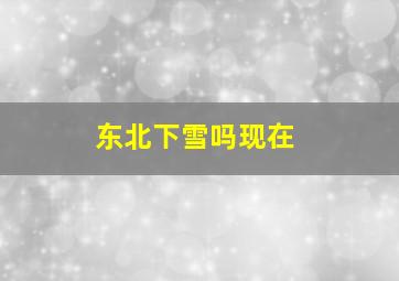 东北下雪吗现在