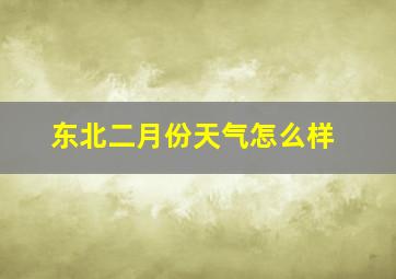 东北二月份天气怎么样