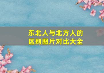 东北人与北方人的区别图片对比大全