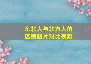 东北人与北方人的区别图片对比视频