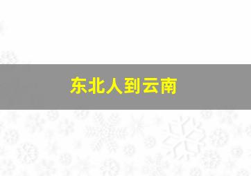 东北人到云南