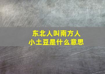 东北人叫南方人小土豆是什么意思