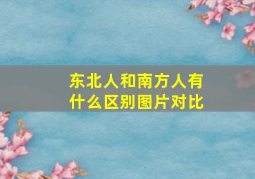 东北人和南方人有什么区别图片对比