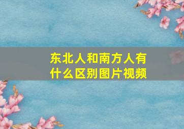 东北人和南方人有什么区别图片视频