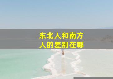 东北人和南方人的差别在哪