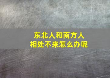 东北人和南方人相处不来怎么办呢