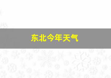 东北今年天气