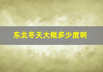 东北冬天大概多少度啊