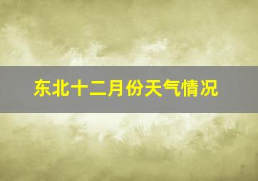 东北十二月份天气情况