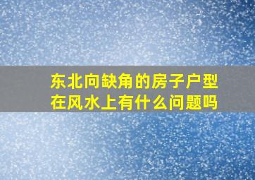 东北向缺角的房子户型在风水上有什么问题吗