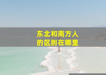 东北和南方人的区别在哪里