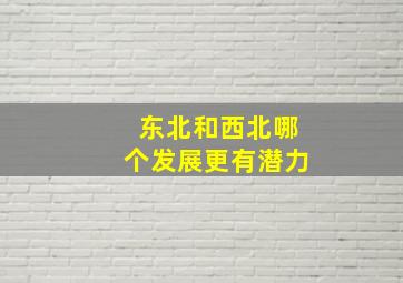 东北和西北哪个发展更有潜力