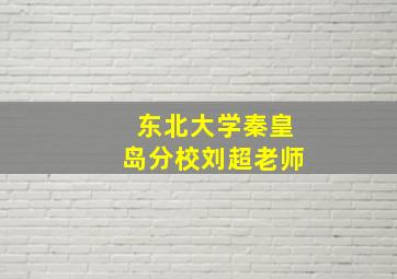 东北大学秦皇岛分校刘超老师