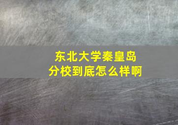 东北大学秦皇岛分校到底怎么样啊