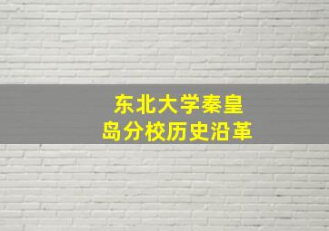 东北大学秦皇岛分校历史沿革