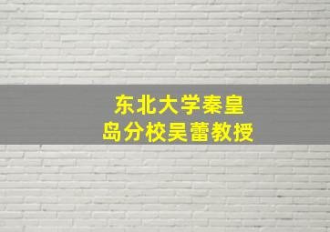 东北大学秦皇岛分校吴蕾教授