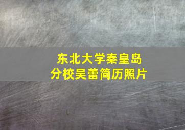 东北大学秦皇岛分校吴蕾简历照片