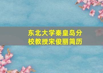 东北大学秦皇岛分校教授宋俊丽简历