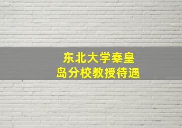 东北大学秦皇岛分校教授待遇