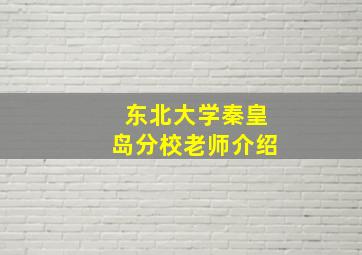 东北大学秦皇岛分校老师介绍