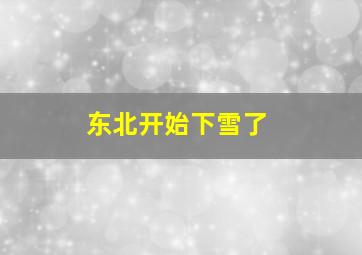 东北开始下雪了