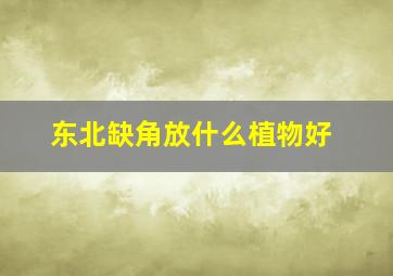 东北缺角放什么植物好