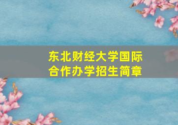 东北财经大学国际合作办学招生简章