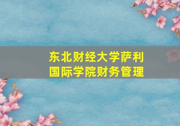 东北财经大学萨利国际学院财务管理