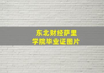 东北财经萨里学院毕业证图片