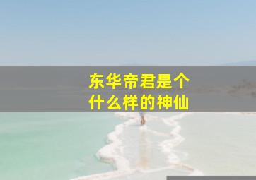 东华帝君是个什么样的神仙