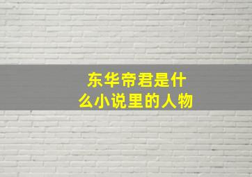 东华帝君是什么小说里的人物