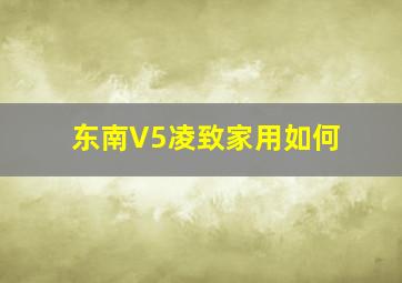 东南V5凌致家用如何