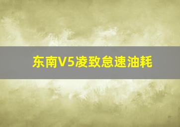 东南V5凌致怠速油耗