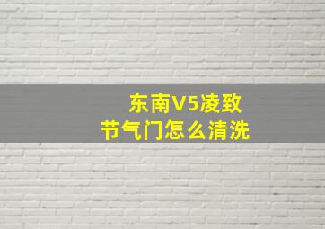 东南V5凌致节气门怎么清洗