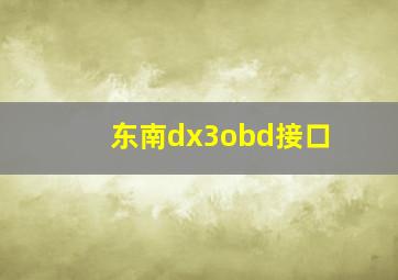 东南dx3obd接口