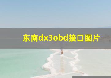 东南dx3obd接口图片