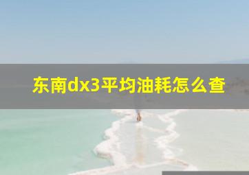 东南dx3平均油耗怎么查