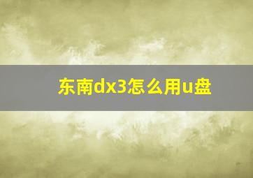 东南dx3怎么用u盘